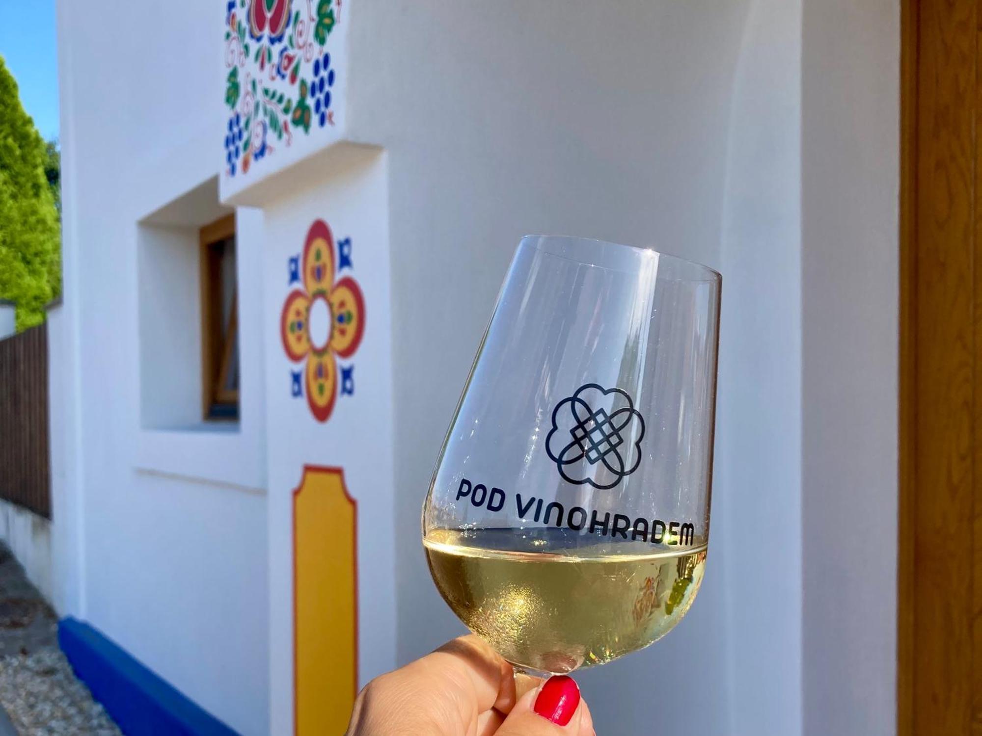 Pod Vinohradem - Apartmany & Vinne Sklepy Mutěnice Dış mekan fotoğraf